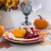 Gezond Thanksgiving Paper Plates 50 Pcs Fall Plates Disposable Pumpkin