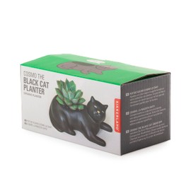 Kikkerland Cosmo The Black Cat Porcelain Planter, for Succulents, Herbs, Indoor/Outdoor House Plants, Home, Garden Decor