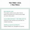 SKIN1004 Madagascar Centella Tea-Trica Bha Foam 125ml