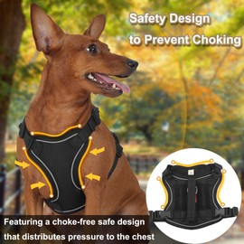 Meifsou Dog Harness and Leash Set, Small Sized No Pull Pet Harness with Control Handle, Adjustable Tactical Harness for Small Medium Dogs Cats, Reflective Puppy Harness for Walking Hiking Training