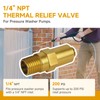 7101359 Pressure Washer Thermal Relief Valve, Compatible with Simpson Gas