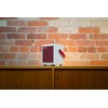Positive Grid Spark MINI Grille Red