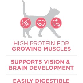 Purina ONE High Protein Natural Dry Kitten Food for Healthy Kitten Formula, 7 lb