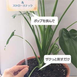 Igarashipro A-14-050 All-Purpose Pop Stand Straw Sticks, Set of 50, Elongated Pop Stand, For Flowers