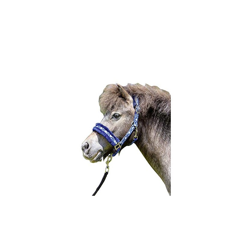 HKM Heart Halter Blue Mini Shetty Size