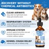 Kennel Cough Herbal Drops for Dogs & Cats,Dog Cough Treatment,Dog