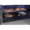 Pit Boss 10”x20” Cast Iron Griddle