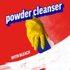 Ajax Powder Cleanser with Bleach - 21 ounce (Pack of