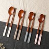 (10x10) Jujube Wood Natural Lacquer Pastel Cutlery Set / Spoons and Chopsticks / (텐바이텐)대추나무 천연옻칠 파스텔 수저세트  숟가락 젓가락