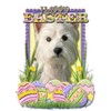 CafePress Easter Egg Cookies Westie Folded Greeting Card Glossy