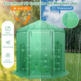 Hexagonal Walk-In Garden Greenhouse with PE Cover and Metal Frame Green ColorColor: Green Color