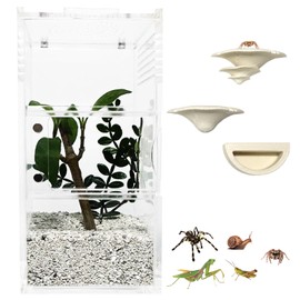 LIANMORY Jumping Spider Enclosure, Acrylic Reptile Terrarium Habitat with Mushroom Ledges & Water Bowl Accessories for Tarantulas, Bugs, Snails, Mantis, Small Insects, Dual Doors, No Assembly Required