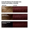 Dark Wine Red Hair Dye Shampoo 3 in 1 for