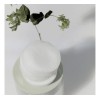 Pads Coreanos Exfoliantes-celimax 125ml Regalito Sorpresa Normal Noche