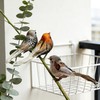 TUESMEILL Artificial Birds for Crafts Clip On Bird Ornaments Artificial