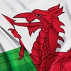 Welsh Flag Tartan - Wales Flag - Wales Dragon -