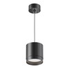 Maytoni Modern Polar Pendant Light, 1 x GX53 Excl. Black,