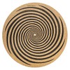 AA Audio Anatomy Vinyl Record Turntable Cover Spiral Design Made