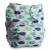 Littles & Bloomz, Reusable Pocket Cloth Nappy, Fastener: Popper, Set