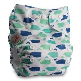 Littles & Bloomz, Reusable Pocket Cloth Nappy, Fastener: Popper, Set of 1, Pattern 17, with 1 Microfibre Insert