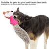 Pet Chew Toys Teeth Cleaning Biting Interactive Training Stuffed Plush