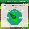 沖縄県産 モリンガ 青汁 手摘み モリンガパウダー 低温乾燥 クロレラ 3種の乳酸菌1000億個 ビフィズス菌 4種のオリゴ糖