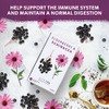 Nutra Tea - Elderberry & Echinacea Tea | Elderberry Tea