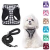 BEAUTYZOO Small Dog Harness and Leash Set,Step in No Choke