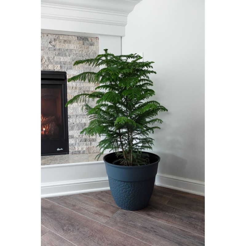 The HC Companies 16 Inch Brookhaven Decorative Round Planter -