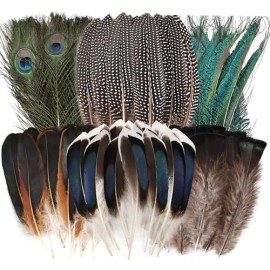 300 Pcs Small Feathers 10 Style Mixed Spotted Decorative Natual Pheasant Feather for DIY Crafts Clothing Jewelry Hair DecorationColor: Natural Gray-4