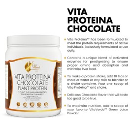 Cocó March N.M.D Vita Protein Vegan Chocolate Plant Protein 20g Per Serving for Sensitive Tummies with Enzymes and Probiotics - Gluten and Soy Free, Vegan, GMO and Dairy Free - 17.6 Oz 500 Grams