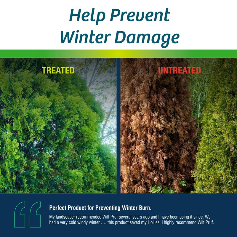 Wilt-Pruf® Organic Plant Protector | Winter Plant Spray | No