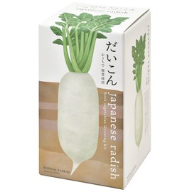 Seishin Pottery GD-89101 All Year Round Home Garden Easy Cultivation Kit, Loose Growing, Daikon Radish, Vegetables, Cultivation Set (Free Research/Food Education), Pot Diameter Approx. 3.9 inches (10