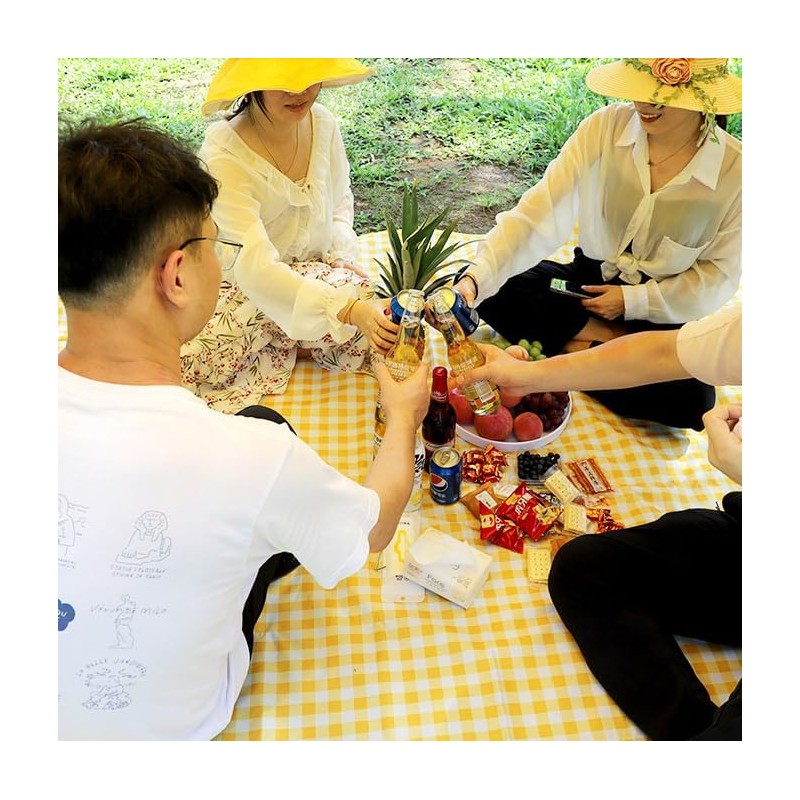 Dusenly Disposable Picnic Mat Waterproof Foldable Blankets Gingham Picnic Mats