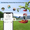 TT Nature Hummingbird Feeder with Camera Solar Powered, AI Identify