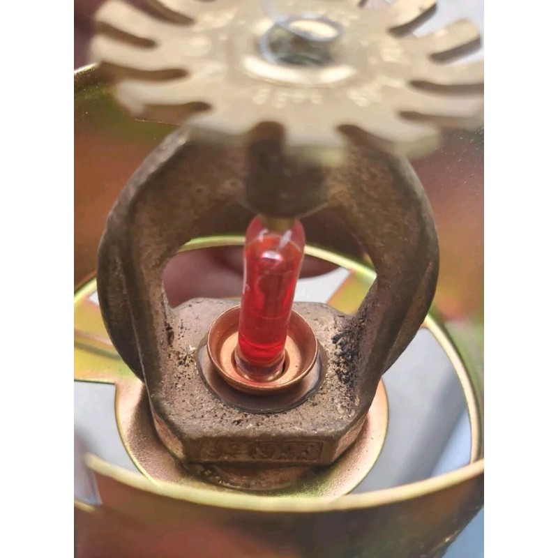Globe Brass Concealed Decorative Fire Sprinkler J-1993 155 degrees (