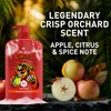 Old Spice Cleansing Body Wash for Men, 3X Defense, 24/7