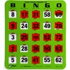Regal Bingo Bulk Bingo Cards with Sliding Windows - Reusable