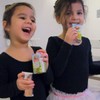 Apple & Eve Sesame Street Organics, Big Bird's Apple Juice,