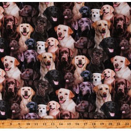 Cotton Best Friend Labrador Retriever Animals Pets Dogs Puppies Multicolor Cotton Fabric Print by The Yard (686-MULT)