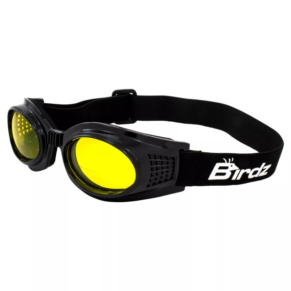 Birdz Eyewear KITE BIFOCAL ANTI FOG MOTORCYCLE GOGGLES BY BIRDZ