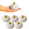 12Pcs White Artificial Pumpkins Bulk Autumn Decoration Set,Thanksgiving Pumpkin Decorations,Decorative