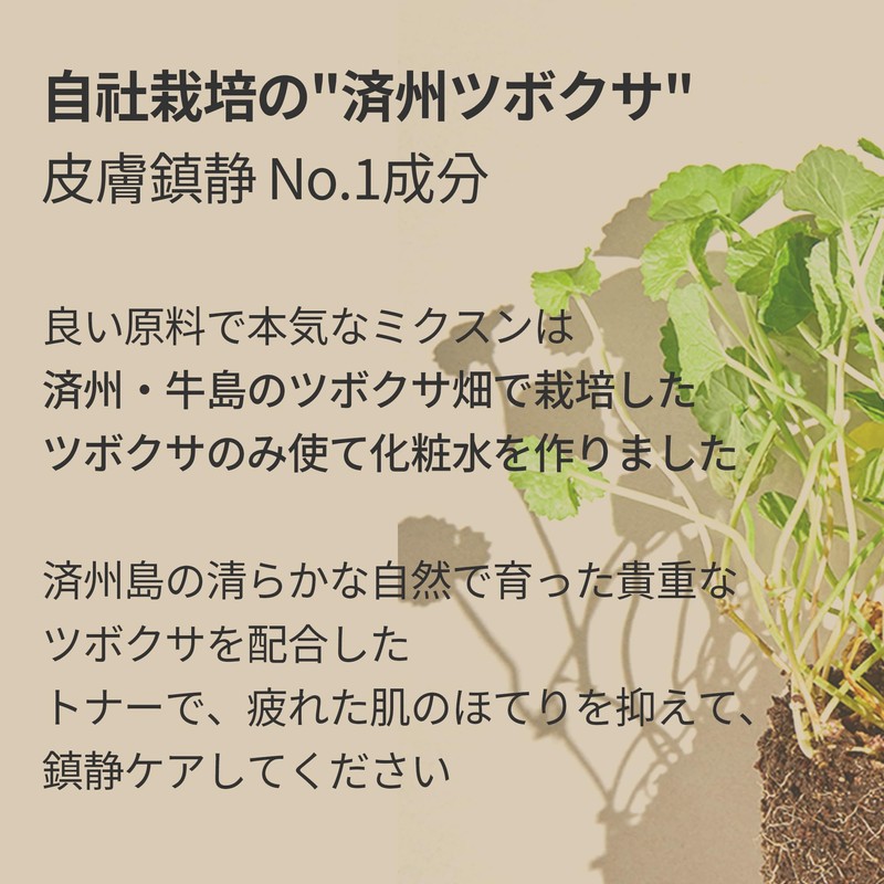 ミクスン (mixsoon) ツボクサエッセンス 30ml 美容液 スキンケア 導入美容液 シカ CICA センテラ
