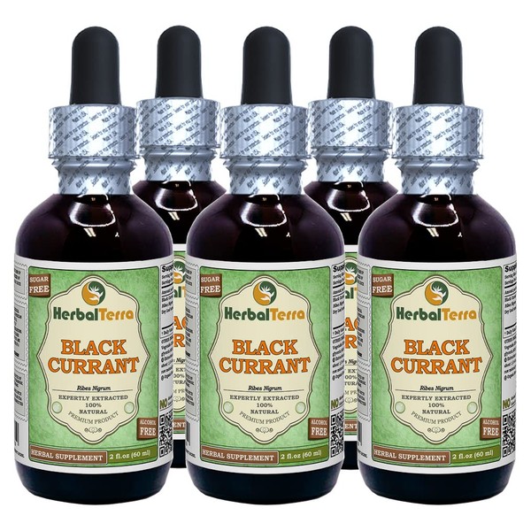 Black Currant (Ribes nigrum) Glycerite, Dried Leaves Alcohol-FREE Liquid Extract (Brand name: HerbalTerra, Proudly made in USA) 5x2 fl.oz (5x60 ml)