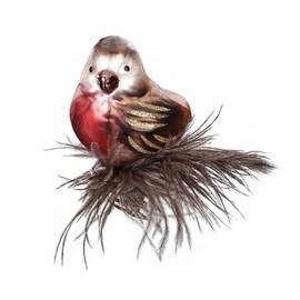 Inge-Glas Clip-On Bird Forest Friend 10133S022 IGM German Glass Christmas Ornament in Gift Box