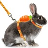 ORZECHKO Rabbit Harness and Leash - Adjustable Bunny Harness Escape