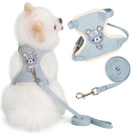 FRANCISCO ArnéS Universal con Correa para Perros y Gatos, ArnéS para Gatos A Prueba de Escapes, ArnéS Ajustable para Perros PequeñOs, Perros Medianos, Malla Suave, Ajuste CóModo, Sin Tirones (Azul,S)