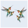 x5 Green Humming Bird Stickers for Wall Decor, Covering Marks,