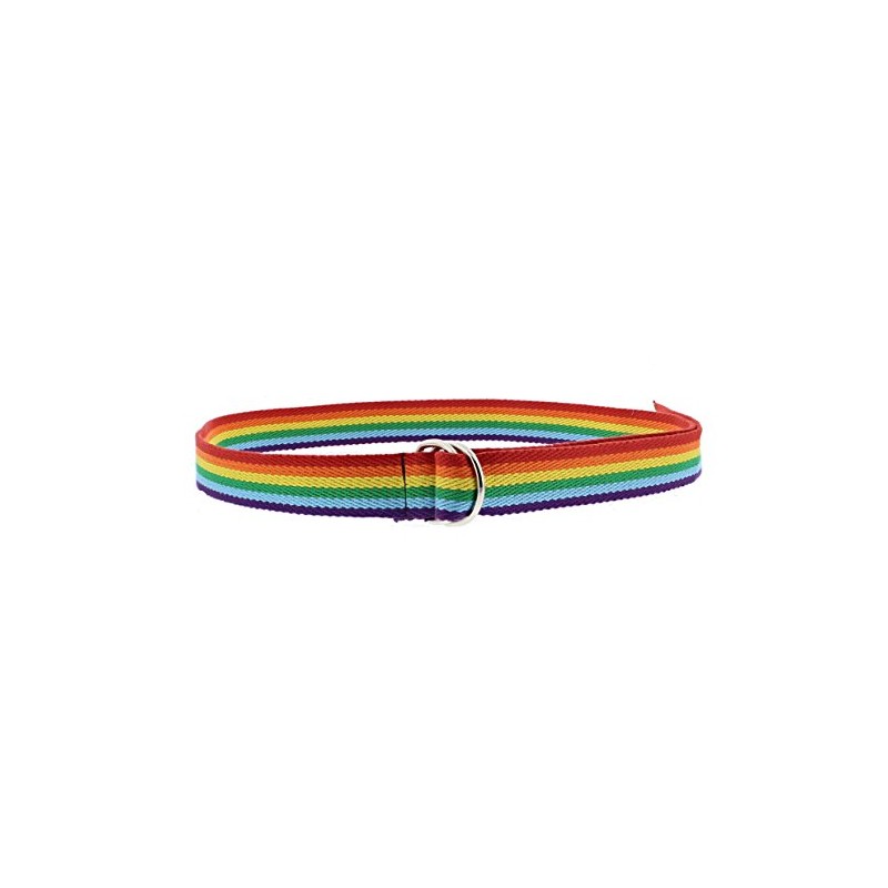 Zac's Alter Ego Rainbow Stripe Canvas Webbing Belt