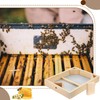Cinnvoice 2 Pack Beehive Candy Board 10 Frame, Bee Candy